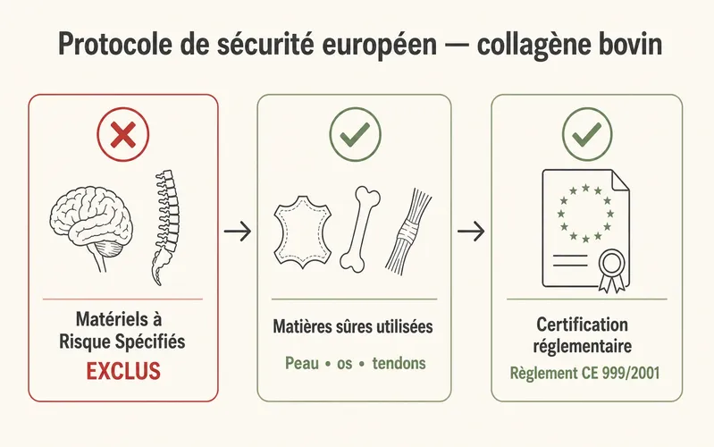 Schéma du protocole de sécurité européen pour le collagène bovin — exclusion des MRS, traçabilité CE n°999/2001
