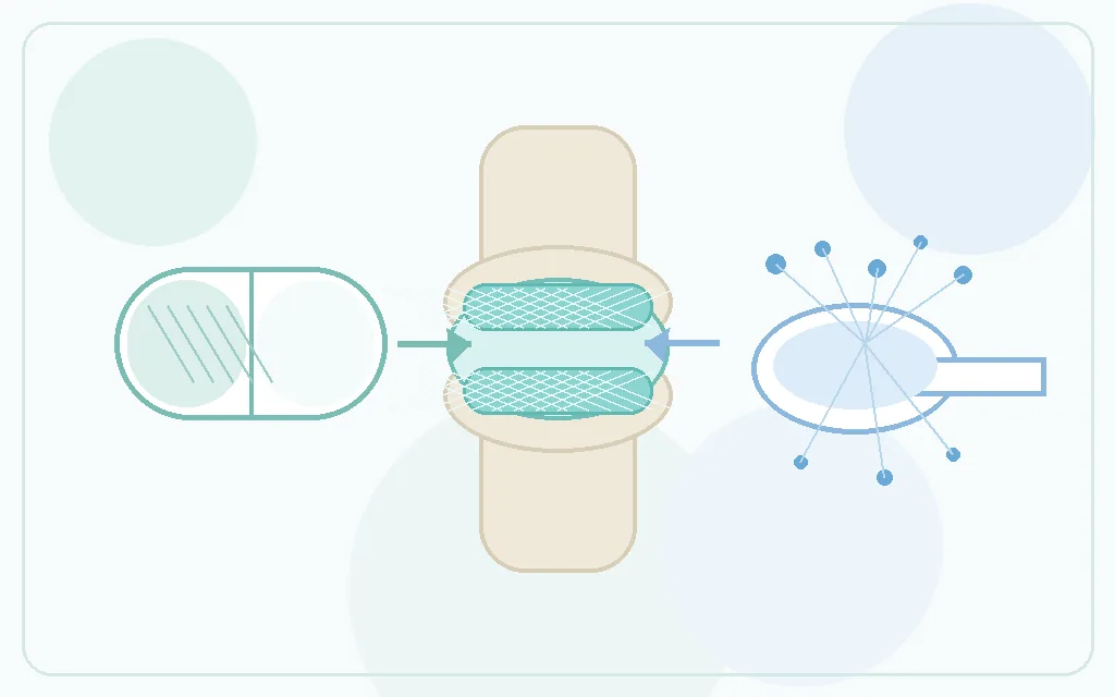 Schéma comparant collagène natif UC-II et peptides hydrolysés autour d'une articulation du genou